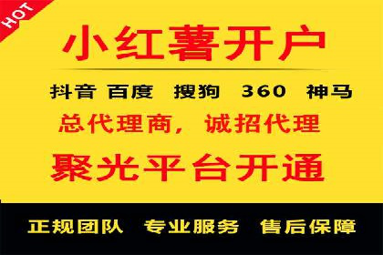 谷歌SEM与SEO结合：某品牌关键词排名快速提升案例